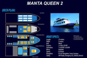 manta queen2