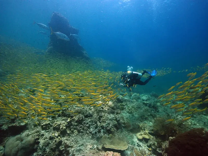 Kurs PADI Phi Phi Asiandivers Thailand Nurkowanie w Tajlandii nurkowie