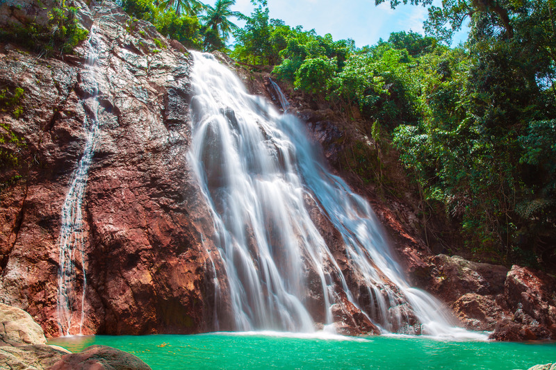 Przyroda Koh Samui